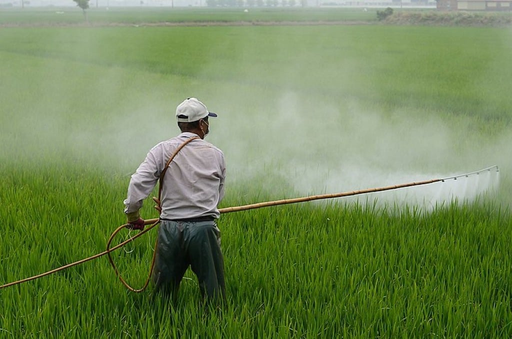 Agrotóxicos: o que são, como se classificam e quais benefícios e riscos