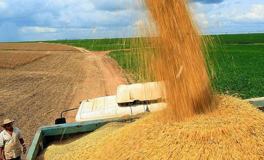 Paraná sedia a 10ª edição do Encontro Nacional da Soja