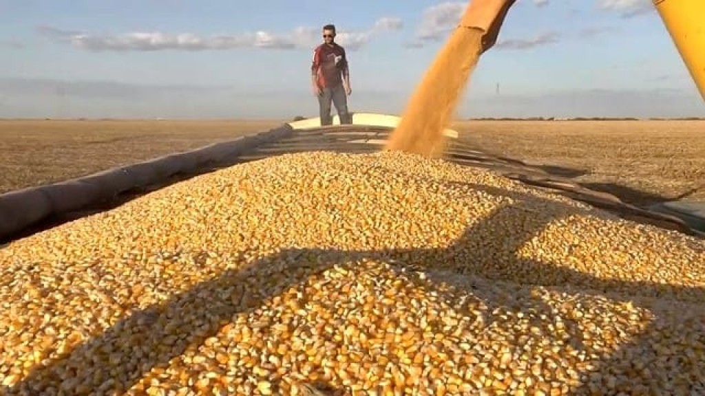 Valor Bruto da Produção de 2023 supera R$ 1,151 trilhão em outubro