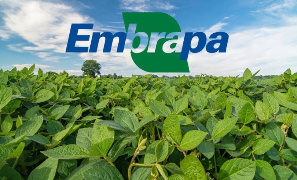 Embrapa comemora 50 anos com Seminário Desafios da Liderança Brasileira no Mercado Mundial da Soja