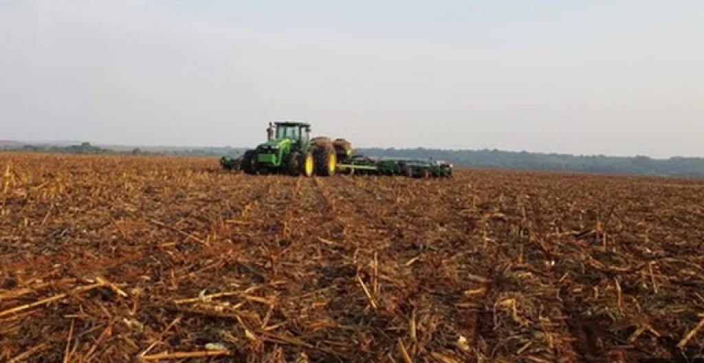 Seca na época do plantio leva sojicultores e a cultivar algodão